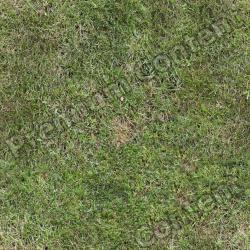 Seamless Grass